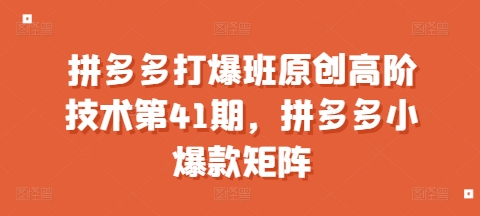 拼多多打爆班原创高阶技术第41期，拼多多小爆款矩阵跨境课程-外贸教程-精品网课-电商运营课库课堂