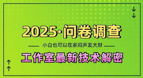 2025问卷调查最新工作室技术解密：一个人在家也可以闷声发大财，小白一天2张，可矩阵放大跨境课程-外贸教程-精品网课-电商运营课库课堂