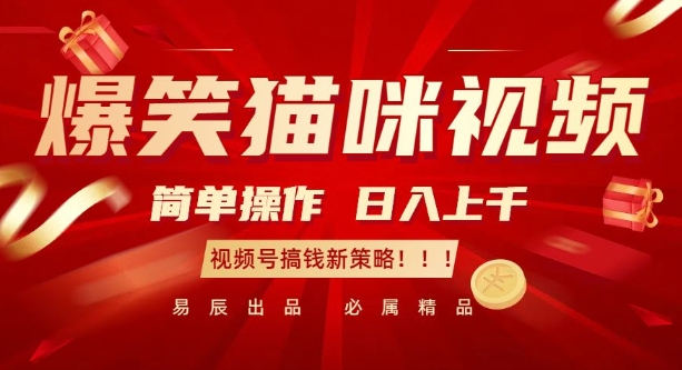 爆笑猫咪视频：简单操作，日入过K，视频号搞钱新策略跨境课程-外贸教程-精品网课-电商运营课库课堂