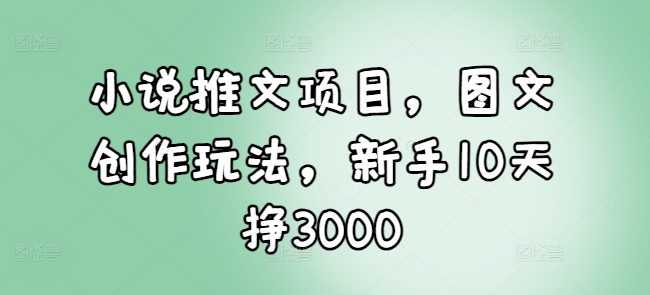 小说推文项目，图文创作玩法，新手10天挣3000跨境课程-外贸教程-精品网课-电商运营课库课堂