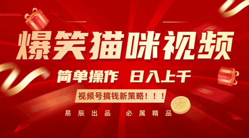 爆笑猫咪视频：简单操作，日入过千，视频号搞钱新策略！跨境课程-外贸教程-精品网课-电商运营课库课堂