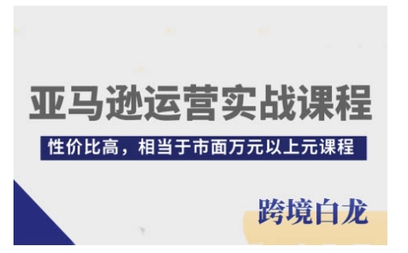 亚马逊运营实战课程，亚马逊从入门到精通，性价比高，相当于市面万元以上元课程跨境课程-外贸教程-精品网课-电商运营课库课堂