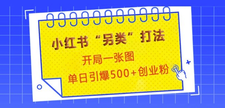 小红书“另类”打法，开局一张图，单日引爆500+精准创业粉跨境课程-外贸教程-精品网课-电商运营课库课堂