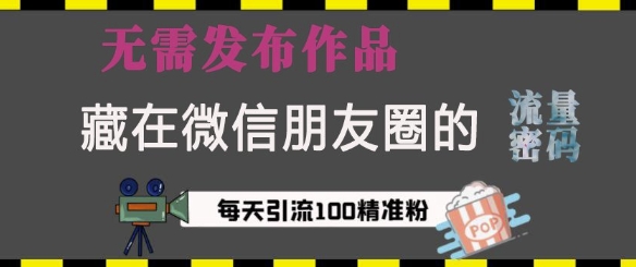 藏在微信朋友圈的流量密码，无需发布作品，单日引流100+精准创业粉跨境课程-外贸教程-精品网课-电商运营课库课堂