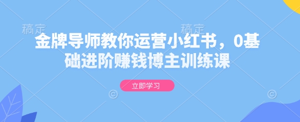 金牌导师教你运营小红书，0基础进阶赚钱博主训练课跨境课程-外贸教程-精品网课-电商运营课库课堂