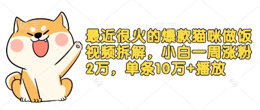 最近很火的爆款猫咪做饭视频拆解，小白一周涨粉2万，单条10万+播放(附保姆级教程)跨境课程-外贸教程-精品网课-电商运营课库课堂