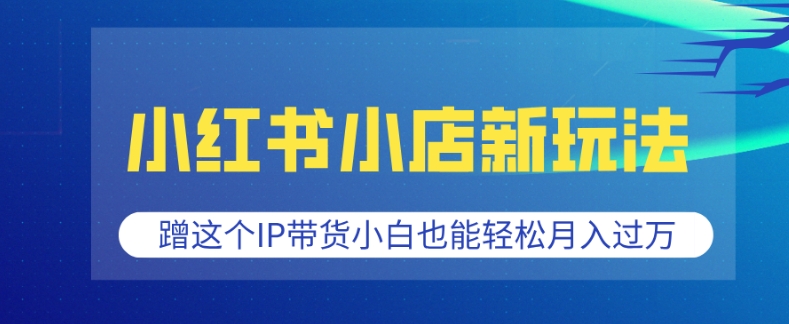 小红书小店新玩法，蹭这个IP带货，小白也能轻松月入过W跨境课程-外贸教程-精品网课-电商运营课库课堂