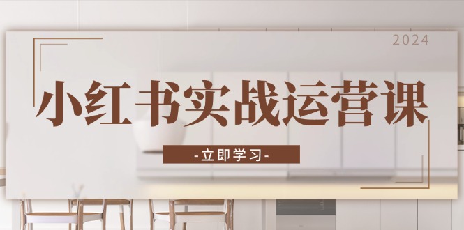 小红书实战运营课：从开通店铺到直播话术，打造爆款笔记与高效直播跨境课程-外贸教程-精品网课-电商运营课库课堂