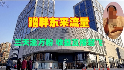 蹭胖东来流量，三天涨万粉，收益直接起飞跨境课程-外贸教程-精品网课-电商运营课库课堂