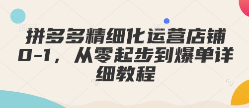 拼多多精细化运营店铺0-1，从零起步到爆单详细教程跨境课程-外贸教程-精品网课-电商运营课库课堂
