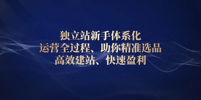 独立站新手体系化 运营全过程，助你精准选品、高效建站、快速盈利跨境课程-外贸教程-精品网课-电商运营课库课堂