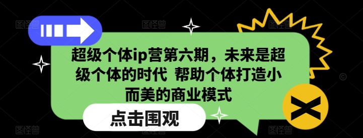 超级个体ip营第六期，未来是超级个体的时代  帮助个体打造小而美的商业模式跨境课程-外贸教程-精品网课-电商运营课库课堂