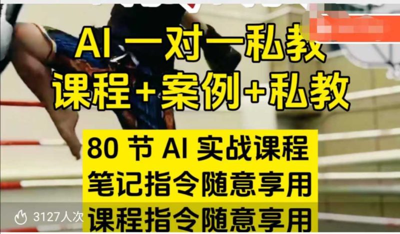 AI指令实战课,课程+案例,80节AI实战课程,笔记指令随意享用,课程指令随意享用跨境课程-外贸教程-精品网课-电商运营课库课堂