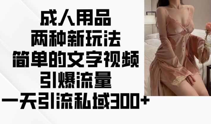 成人用品两种新玩法，简单的文字视频引爆流量，一天引流私域300+跨境课程-外贸教程-精品网课-电商运营课库课堂