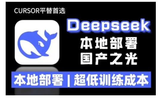 2025年deepseek R1 大型模型本地安装部署(文件+教程)本地部署，超低训练成本跨境课程-外贸教程-精品网课-电商运营课库课堂