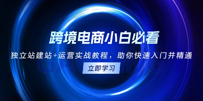 跨境电商小白必看！独立站建站+运营实战教程，助你快速入门并精通跨境课程-外贸教程-精品网课-电商运营课库课堂