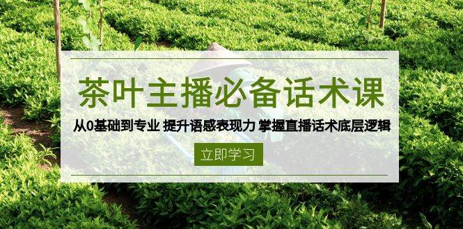 茶叶主播必备话术课 从0基础到专业 提升语感表现力 掌握直播话术底层逻辑跨境课程-外贸教程-精品网课-电商运营课库课堂