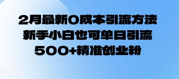 2月最新0成本引流方法，新手小白也可单日引流500+精准创业粉跨境课程-外贸教程-精品网课-电商运营课库课堂