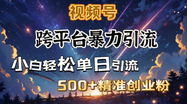 跨平台暴力引流，私域完美闭环，日引500+精准创业粉跨境课程-外贸教程-精品网课-电商运营课库课堂