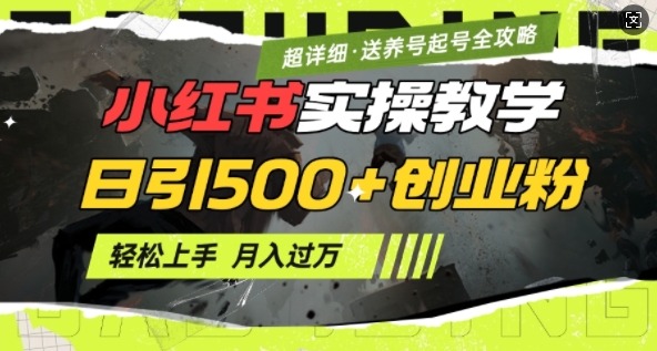 2月小红书最新日引500+创业粉实操教学【超详细】小白轻松上手，月入1W+，附小红书养号起号SOP跨境课程-外贸教程-精品网课-电商运营课库课堂