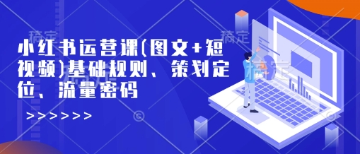 小红书运营课(图文+短视频)基础规则、策划定位、流量密码跨境课程-外贸教程-精品网课-电商运营课库课堂