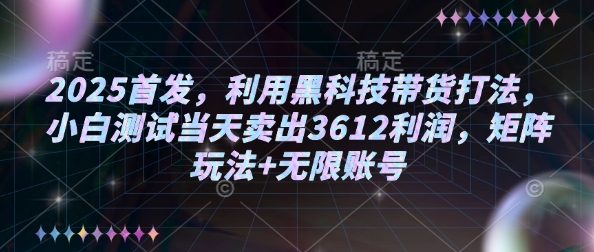 2025首发，利用黑科技带货打法，小白测试当天卖出3612利润，矩阵玩法+无限账号跨境课程-外贸教程-精品网课-电商运营课库课堂