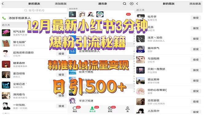 12月最新小红书3分钟爆粉引流秘籍 精准私域流量变现 日引500+跨境课程-外贸教程-精品网课-电商运营课库课堂