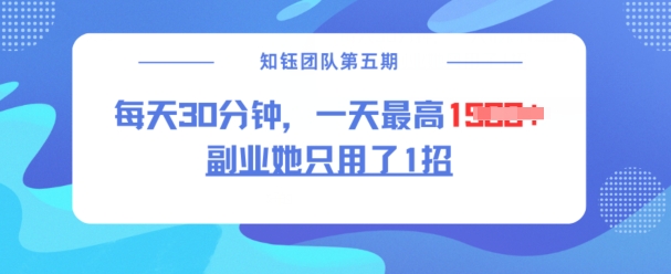 副业她只用了1招，每天30分钟，无脑二创，一天最高1.5k跨境课程-外贸教程-精品网课-电商运营课库课堂