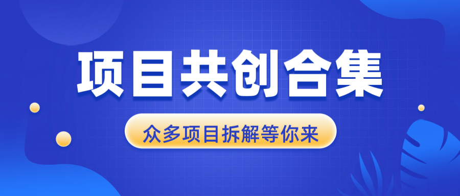 项目共创合集，从0-1全过程拆解，让你迅速找到适合自已的项目跨境课程-外贸教程-精品网课-电商运营课库课堂