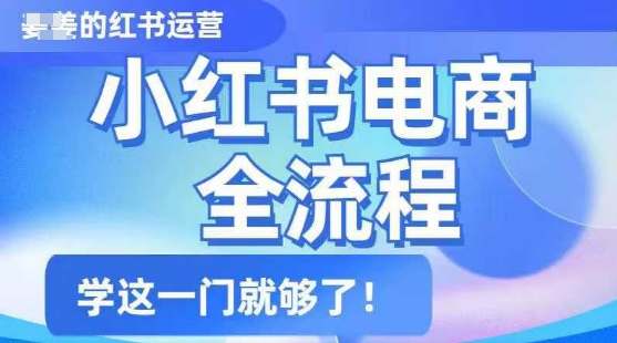 小红书电商全流程，精简易懂，从入门到精通，学这一门就够了跨境课程-外贸教程-精品网课-电商运营课库课堂
