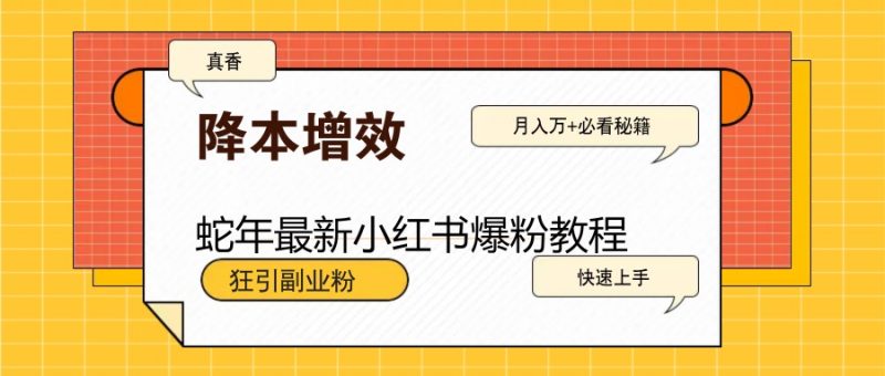 蛇年最新小红书爆粉教程,狂引副业粉,月入万+必看跨境课程-外贸教程-精品网课-电商运营课库课堂