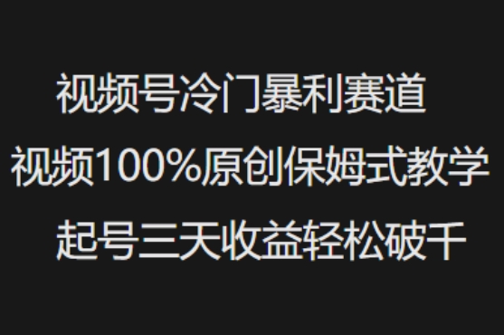 视频号冷门暴利赛道视频100%原创保姆式教学起号三天收益轻松破千跨境课程-外贸教程-精品网课-电商运营课库课堂