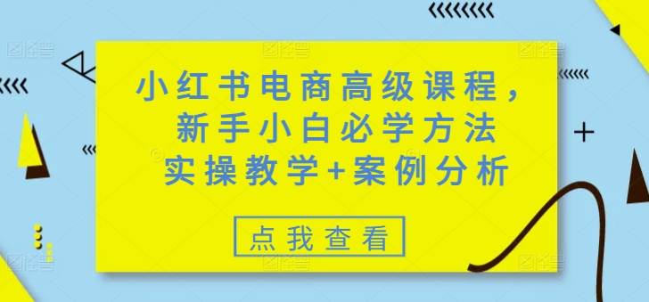 小红书电商高级课程，新手小白必学方法，实操教学+案例分析跨境课程-外贸教程-精品网课-电商运营课库课堂