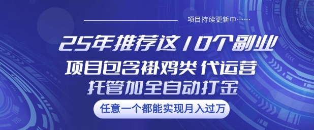 25年推荐这10个副业项目包含褂鸡类、代运营托管类、全自动打金类跨境课程-外贸教程-精品网课-电商运营课库课堂