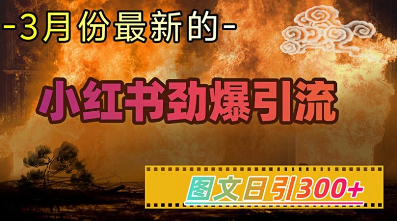 小红书超劲爆引流手段，图文日引300+轻松变现1W跨境课程-外贸教程-精品网课-电商运营课库课堂