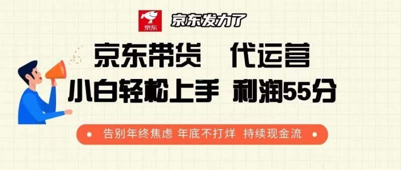 京东带货 代运营 利润55分 告别年终焦虑 年底不打烊 持续现金流跨境课程-外贸教程-精品网课-电商运营课库课堂