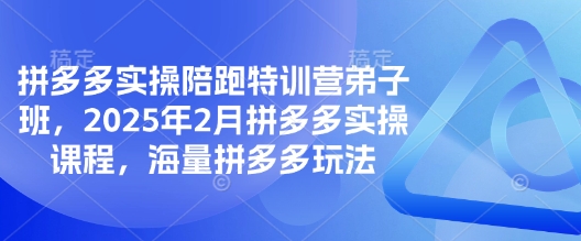 拼多多实操陪跑特训营弟子班，2025年2月拼多多实操课程，海量拼多多玩法跨境课程-外贸教程-精品网课-电商运营课库课堂