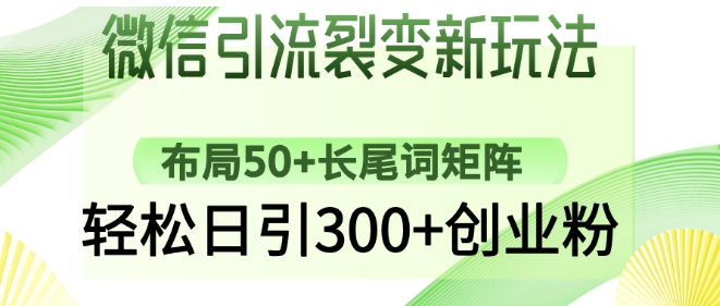 微信引流裂变新玩法：布局50+长尾词矩阵，轻松日引300+创业粉跨境课程-外贸教程-精品网课-电商运营课库课堂