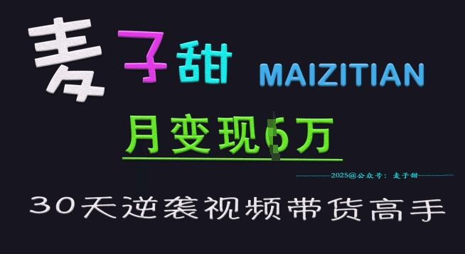 麦子甜30天逆袭视频带货高手，单月变现6W加特训营跨境课程-外贸教程-精品网课-电商运营课库课堂