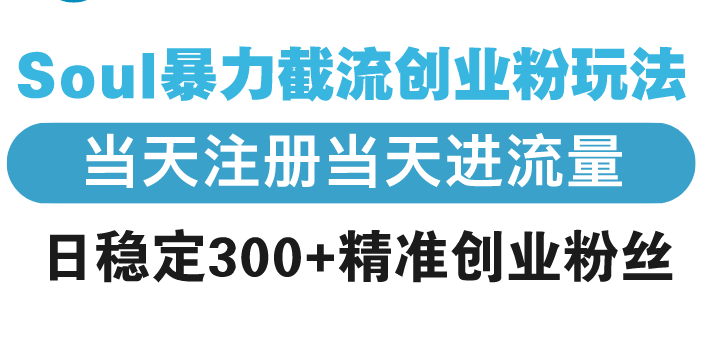 Soul暴力截流创业粉玩法，当天注册当天进流量，日稳定300+精准创业粉丝跨境课程-外贸教程-精品网课-电商运营课库课堂