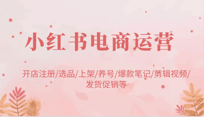小红书电商运营：开店注册/选品/上架/养号/爆款笔记/剪辑视频/发货促销等跨境课程-外贸教程-精品网课-电商运营课库课堂