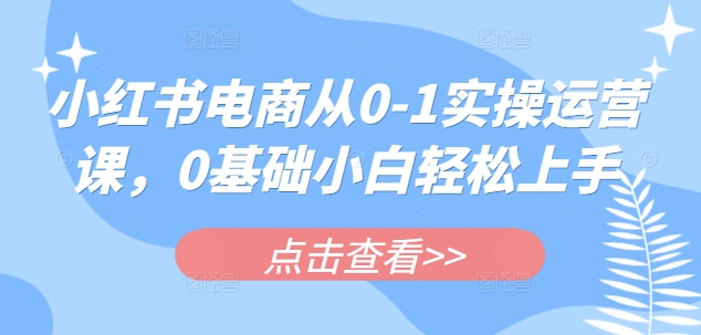 小红书电商从0-1实操运营课，0基础小白轻松上手跨境课程-外贸教程-精品网课-电商运营课库课堂