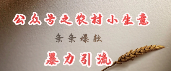 deepseek写农村小项目，条条爆款，暴力引流跨境课程-外贸教程-精品网课-电商运营课库课堂