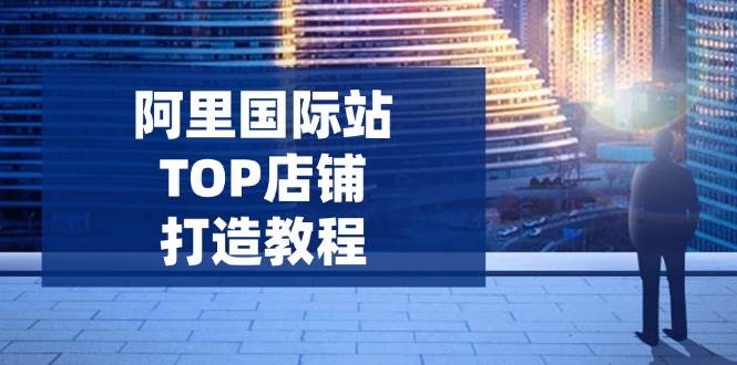 阿里国际站TOP店铺打造教程：涵盖平台到高阶，解决运营难题，提升询盘跨境课程-外贸教程-精品网课-电商运营课库课堂