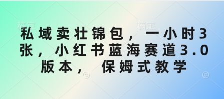 私域卖壮锦包，一小时3张，小红书蓝海赛道3.0版本， 保姆式教学跨境课程-外贸教程-精品网课-电商运营课库课堂