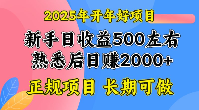 2025开年好项目,单号日收益2000左右跨境课程-外贸教程-精品网课-电商运营课库课堂