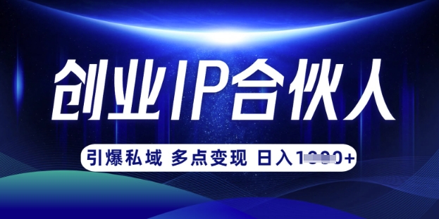 云帆·创业ip合伙人打造3.0，从0到1教你做网创，实现月入过W跨境课程-外贸教程-精品网课-电商运营课库课堂