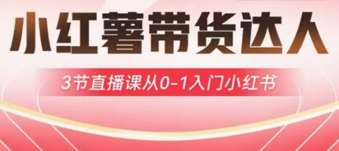 小红薯达人带货启航计划，3节直播课从0-1入门小红书跨境课程-外贸教程-精品网课-电商运营课库课堂