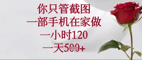 你只管截图，一部手机在家操作，一小时120.一天5张跨境课程-外贸教程-精品网课-电商运营课库课堂