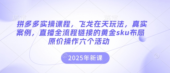 拼多多实操课程，飞龙在天玩法，真实案例，直播全流程链接的黄金sku布局原价操作六个活动跨境课程-外贸教程-精品网课-电商运营课库课堂
